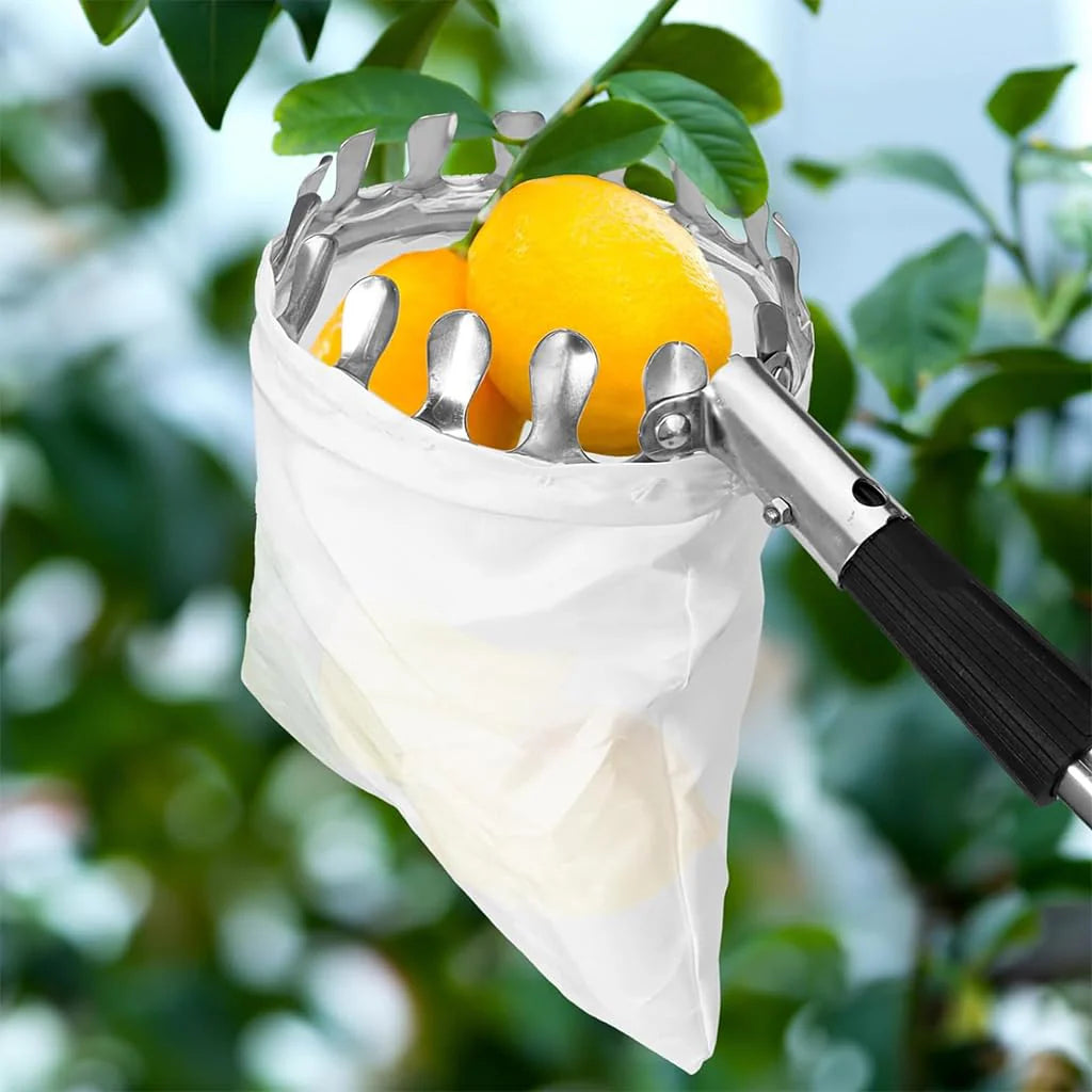 Fruit picker tool