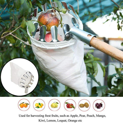 Fruit picker tool