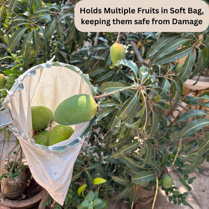 Fruit picker tool