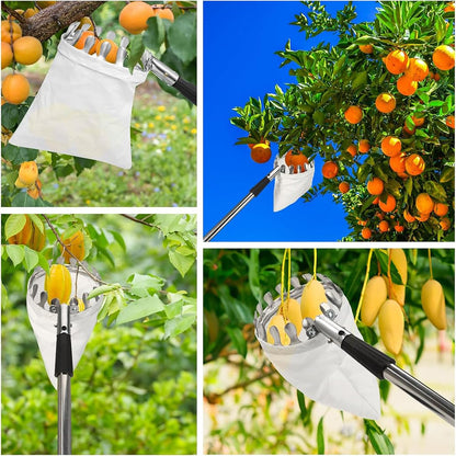 Fruit picker tool