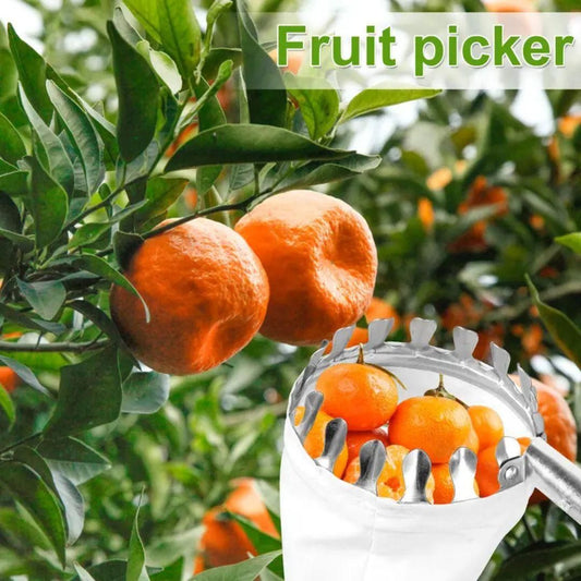 Fruit picker tool