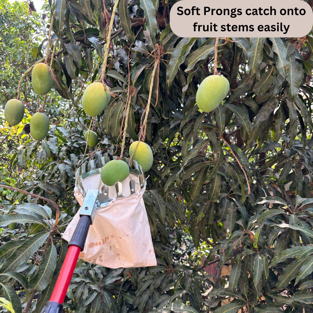 Fruit picker tool